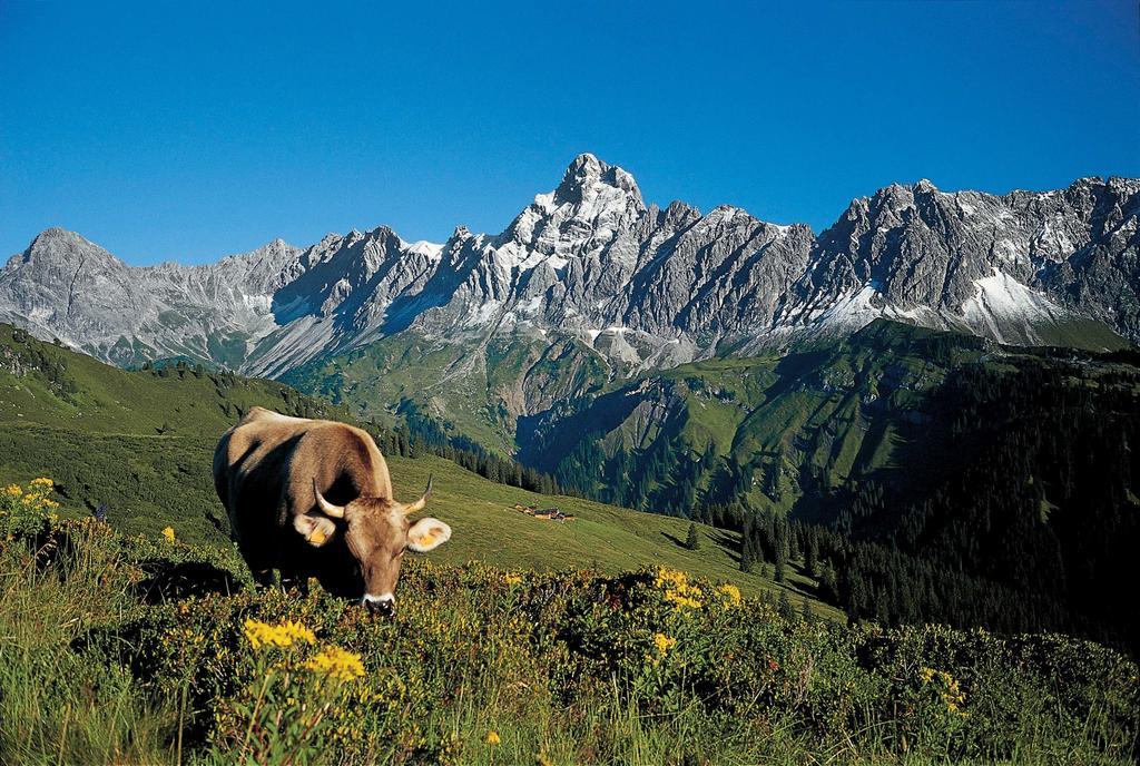 Ferienwohnung Brugger Sankt Gallenkirch Esterno foto